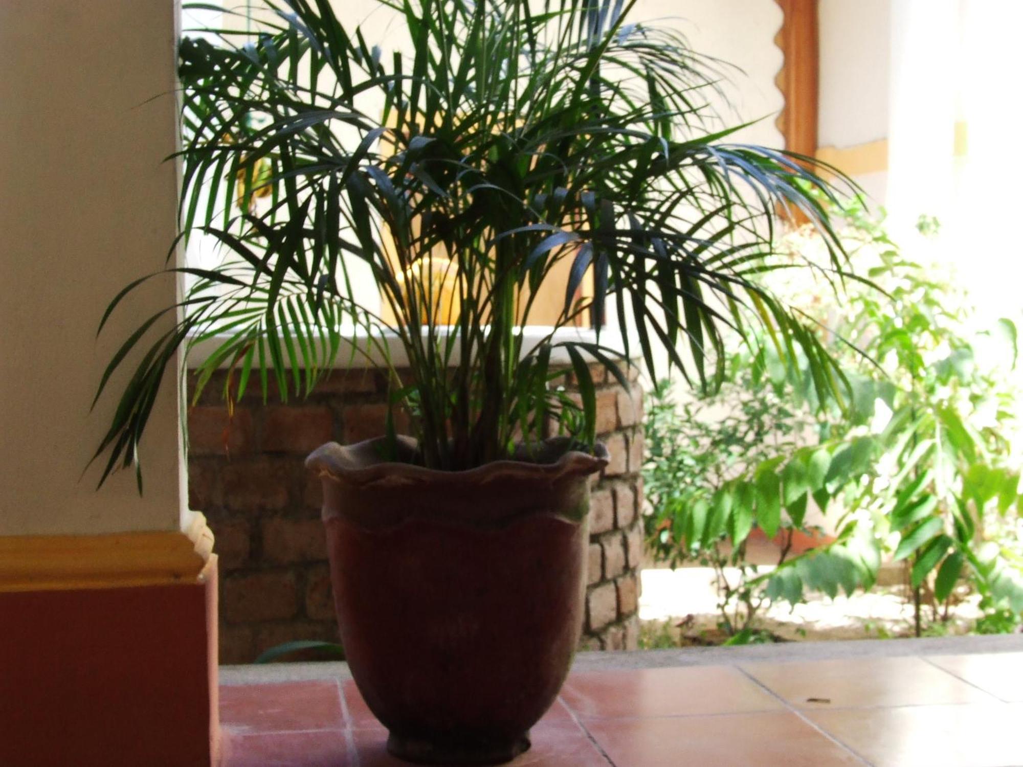 Hotel Casa Barcelona กรานาดา ภายนอก รูปภาพ