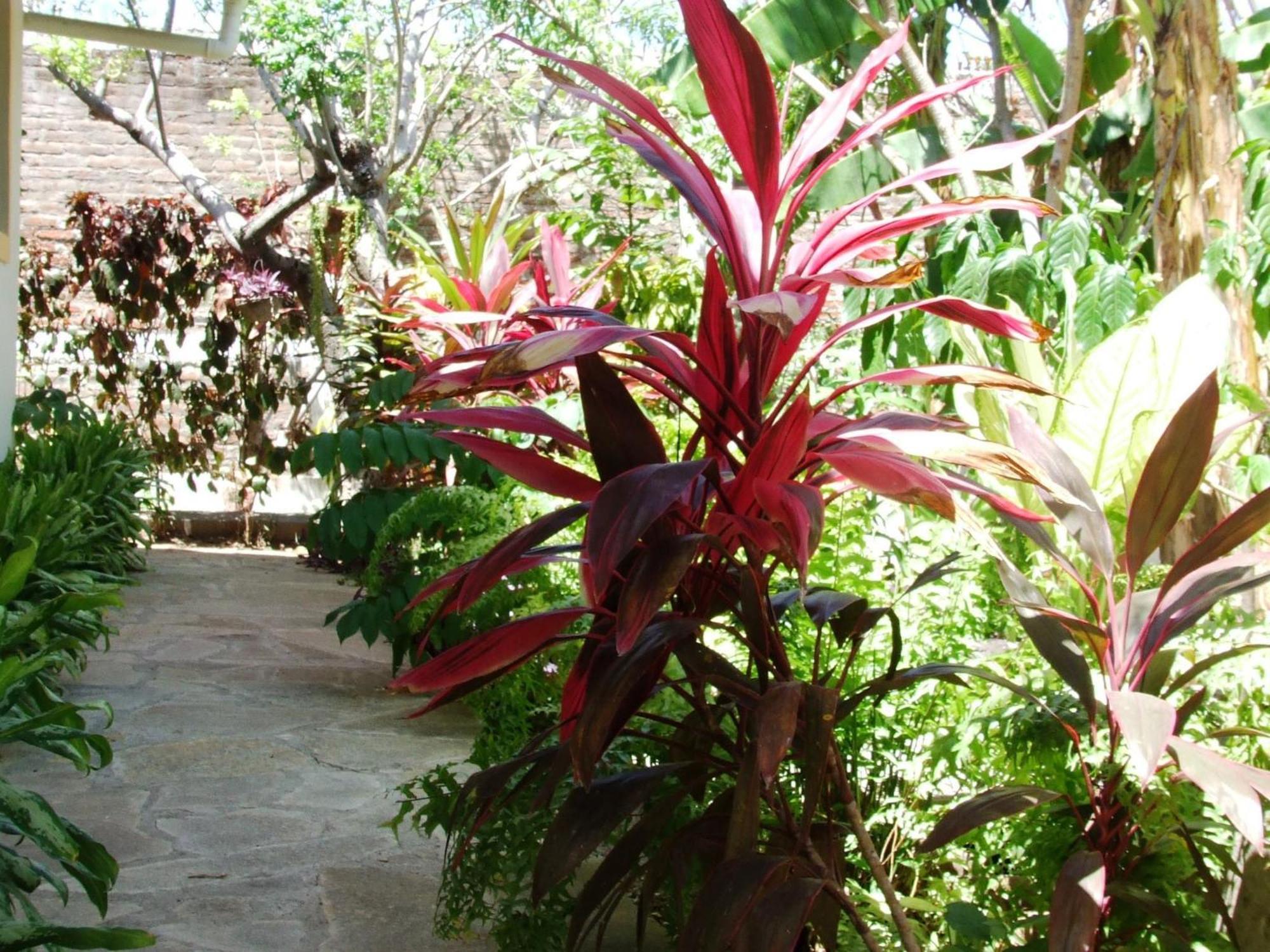 Hotel Casa Barcelona กรานาดา ภายนอก รูปภาพ